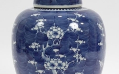 CHINESE, BLUE HAWTHORN PORCELAIN GINGER JAR