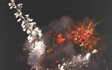 Ori Gersht, Untitled 28 from Time After Time: Exploding Flower & Other Matters