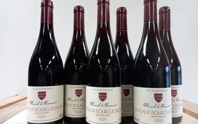 6 bouteilles de Bourgogne 2018 Côteaux Bourguignon... - Lot 28 - Enchères Maisons-Laffitte