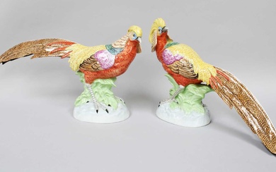 A Pair of Dresden Porcelain Exotic Birds In good condition...