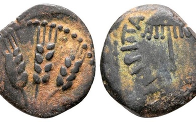 Agrippa I (37-43 CE). Judaea, Herodian Kings. Æ Prutah (16...