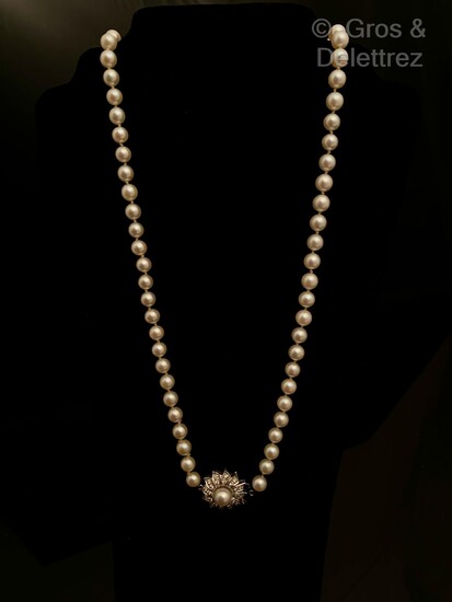 Collier composé d’un rang de perles de culture,... - Lot 328 - Gros & Delettrez