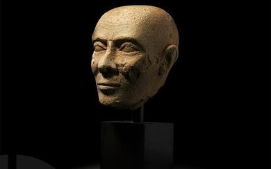 Egyptian Limestone Head of a Priest