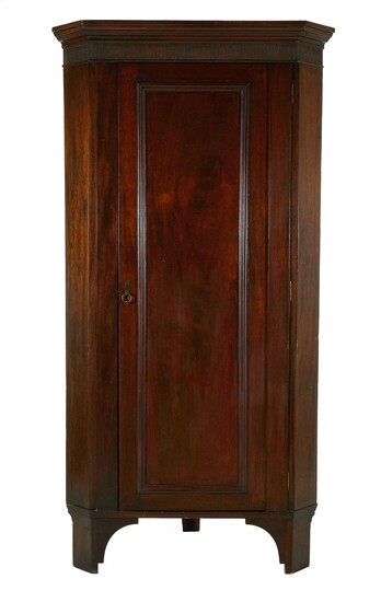 Late Georgian mahogany corner cabinet