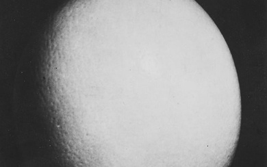 Man Ray (1890-1976) - Ostrich Egg, 1944
