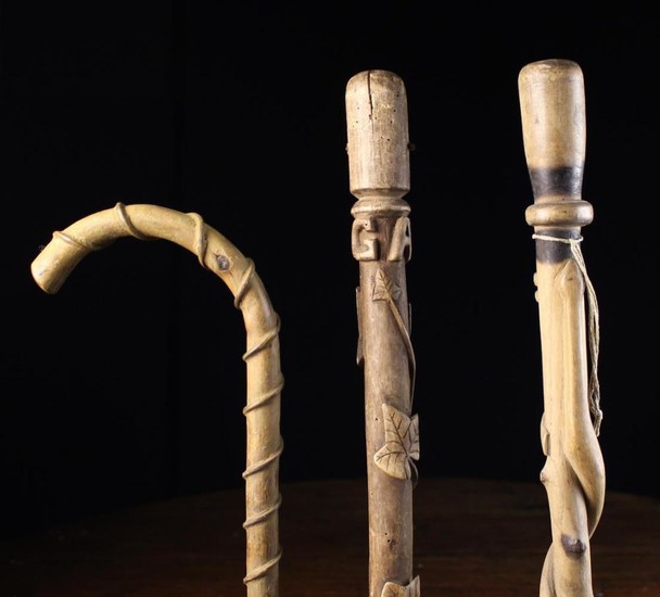 Three Rustic Folk-Art Walking Sticks from the Auvergne Region. The longest with a knobbly shaft entw