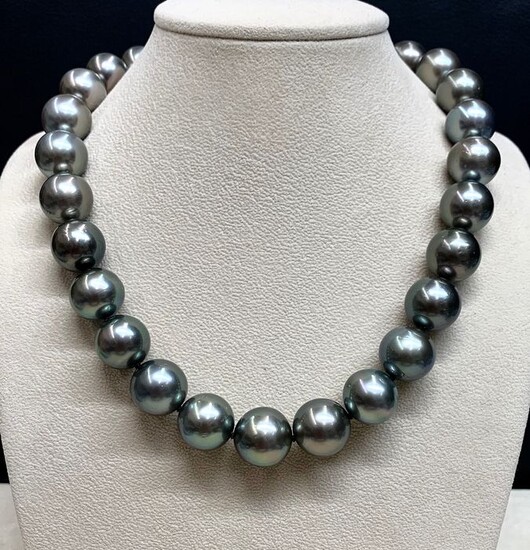 18 kt. Tahitian pearls, White gold, 15-16,8 mm - Necklace