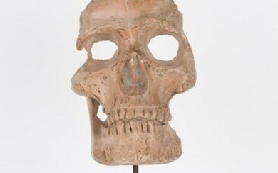 19th C. Terra Cotta Memento Mori Skull