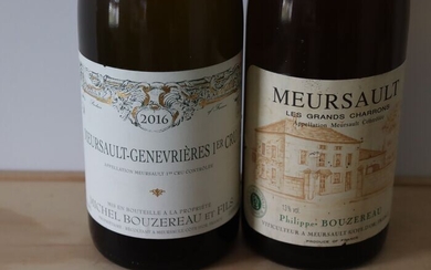 2016 Meursault 1° Cru "Perrieres" Michel Bouzereau & 1990 Meursault "Les Grands Charrons" - Bourgogne Philippe Bouzereau - 2 Bottle (0.75L)