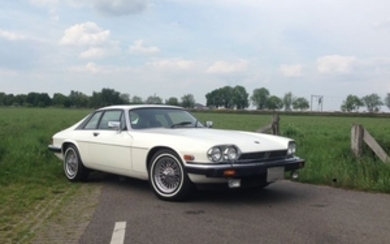Jaguar - XJS - 1983