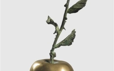 ALIK CAVALIERE Apple.