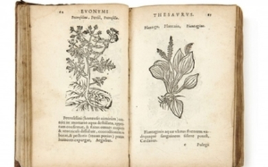 Conrad GESNER 1516-1565 Thesaurus Euonymi Philiatri de remediis secretis