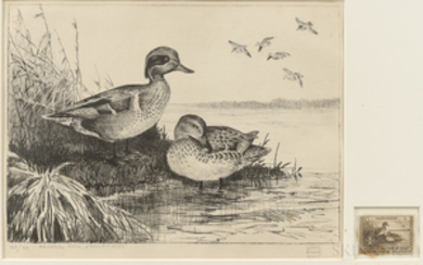 Hunt, Lynn Bogue (1878-1960) Federal Duck Stamp Lithograph, Signed Limited Edition Copy, 1939.