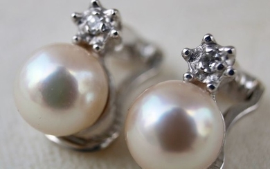 14 kt. White gold - Antique Earrings with Omega locks genuine sea/salty Japanese Akoya Pearls (ca.7 mm) - Diamonds