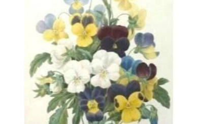 After Pierre-Jospeh RedoutÃ©, Floral Print, #97 Bouquet