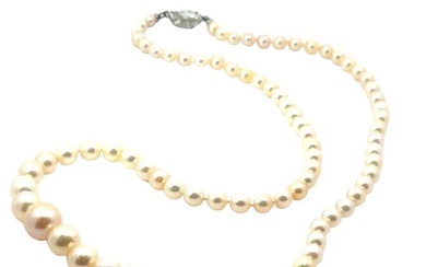 Antique Natural Pearl Necklace with Diamond Marquise Clasp