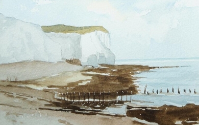 B.J. Pont, British school, late 20th/early 21st century- Coastal scene with cliffs; pencil and watercolour heightened with scratching out on paper, signed 'B J Pont' (lower left), 13 x 18.2 cm.