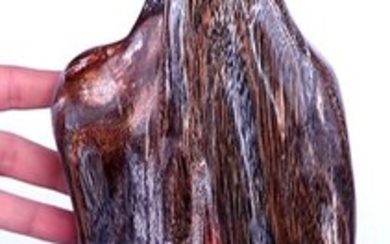 Beautiful Petrified Wood Decorative Sculpture - 480×150×90 mm - 4752 g
