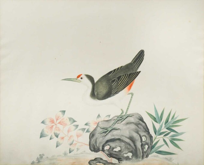 Chinese Company School, Paintings of Birds, 19th century