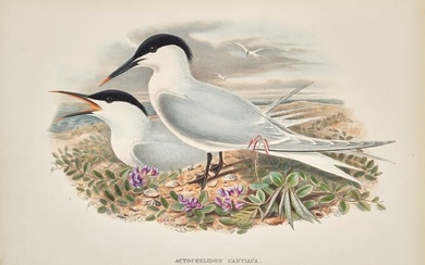 Gould, John Sammlung von fünf ornithologischen Graphiken. Um 1862. Je kolorierte Lithographie