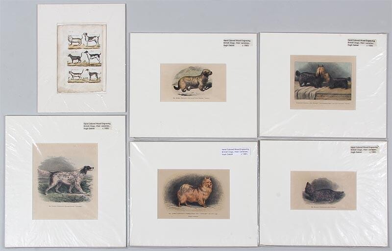 Group of (6) hand colored engravings of dogs and cats, 19C. FR3SH.