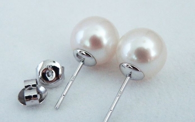 NO RESERVE PRICE - South sea pearls, Top Grade 9,5 -10 mm - Earrings, 14 kt. White Gold