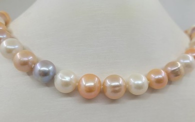 No Reserve Price - 11x12mm Multi Edison Pearls Necklace - White gold