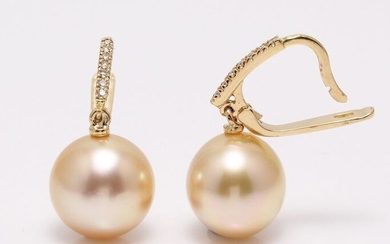 No reserve price - 14 kt. Yellow Gold- 11x12mm Golden South Sea Pearls - Earrings - 0.11 ct