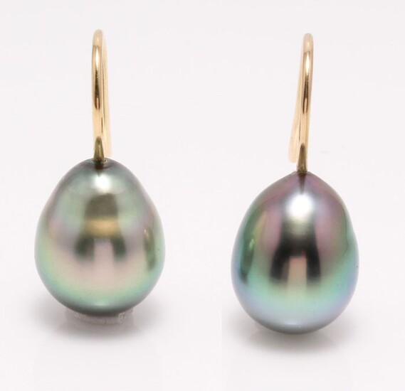 No reserve price - 18 kt. Yellow Gold - 10x11mm Peacock Tahitian Pearl Drops - Earrings