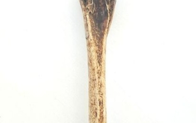 Scepter (1) - Bone - Jimma - Ethiopia