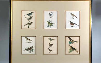 Six J. W. Hill Ornithological Prints Framed Together