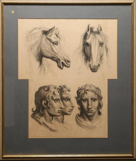 Study of Horse & Man- Print