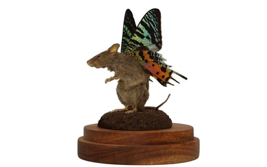 TAXIDERMY: A FLUTTER-MOUSE IN GLASS DOME