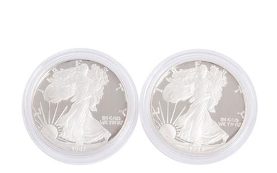 USA /SILBER - 2 x 1 $ American Silver Eagle 1 oz in PP