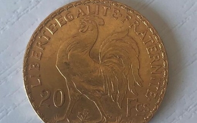 1 pièce de monnaie 20 F or 1907