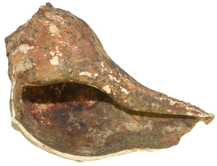 10" Shell Dipper found at Spiro (Leflore Co, OK).