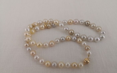 18 kt. South sea pearls, 9-7 mm Natural Colors - Necklace