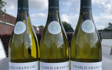 2019 Chablis Grand Cru "Les Clos" - William Fèvre - Bourgogne - 3 Bottle (0.75L)