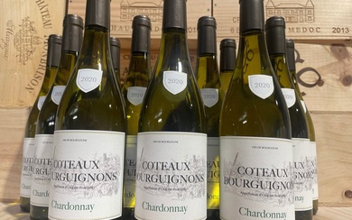 2020 Bourgogne Chardonnay - 12 Bottles (0.75L)