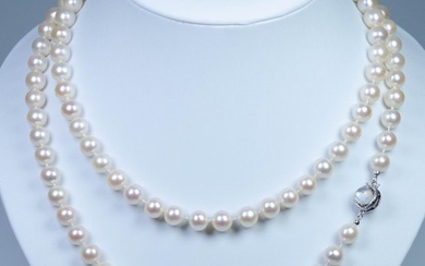 835 Silver - Necklace - Moonstones - Ø 8-8.5 mm Akoya pearls - 93 cm