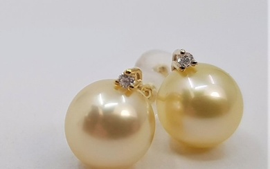 9mm Golden South Sea Pearls - 0.04Ct - Earrings Yellow gold