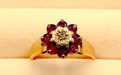 A 9ct Gold, Ruby & Diamond cluster ring, hallmarked MS&S, Si...