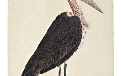 A Lesser Adjutant Stork (Leptoptilos Javanicus) in a landscape, Company School, Lucknow, circa 1775-85