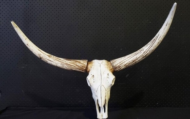Composite Bull Skull and Horns on Metal Stand (left horn - minor losses ) (H62 x W77cm, base: 12 x 26cm)