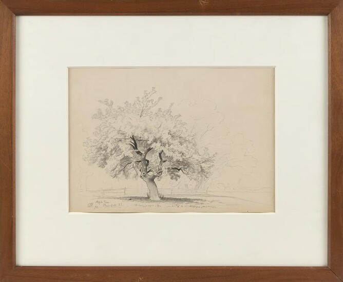 DAVID JOHNSON (New York, 1827-1908), “Apple Tree