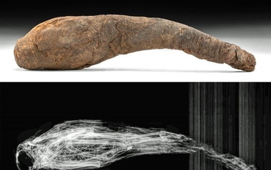 Egyptian Late Period Mummified Young Baboon w/ x-Ray