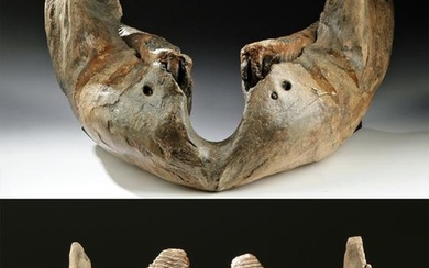 Fantastic / Large Serbian Ice Age Mammoth Jawbone