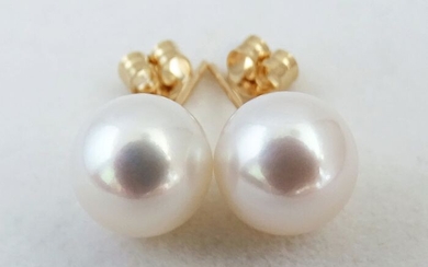 HS Jewellery - Akoya pearls, Huge Rare Premium 9.5 -10 mm - Earrings, 18 kt. Yellow Gold