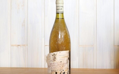 Hautes Côtes de Beaune (x1) Dubois Bourgogne... - Lot 3 - Lux-Auction