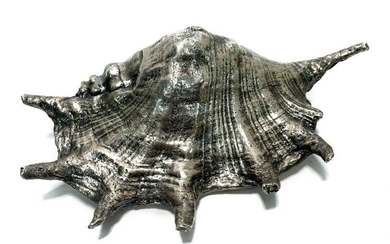 Large Frederico Buccellati 999 Silver Coated Conch Shell